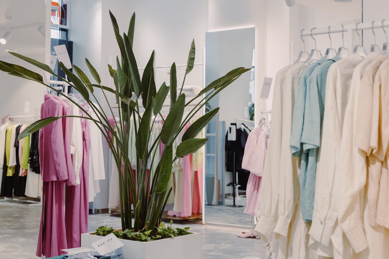 services-01 Bright and airy boutique featuring pastel garments and a lush green plant centerpiece.